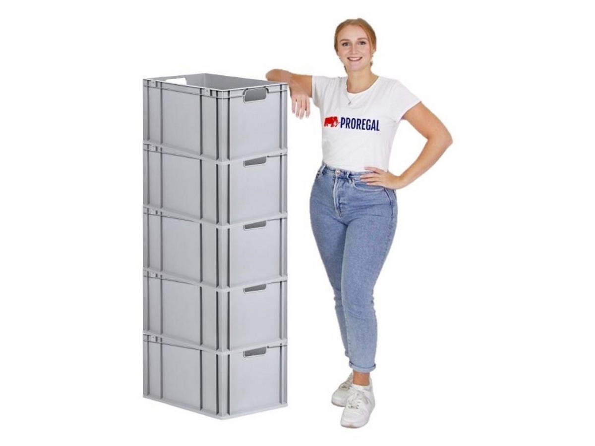 EUROBOX 5x Nextgen Economy Griffe Offen 32x40x60cm 65 Liter - Grau, Kunststoff (40/32/60cm) - PROREGAL