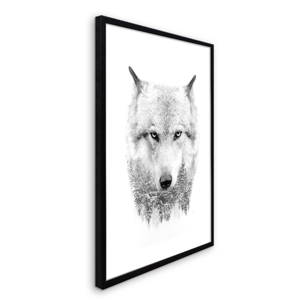 POSTER mit Rahmen 50x70 cm Wolf Schwarz-Weiß - Weiß, Holz (51/71cm) - artissimo