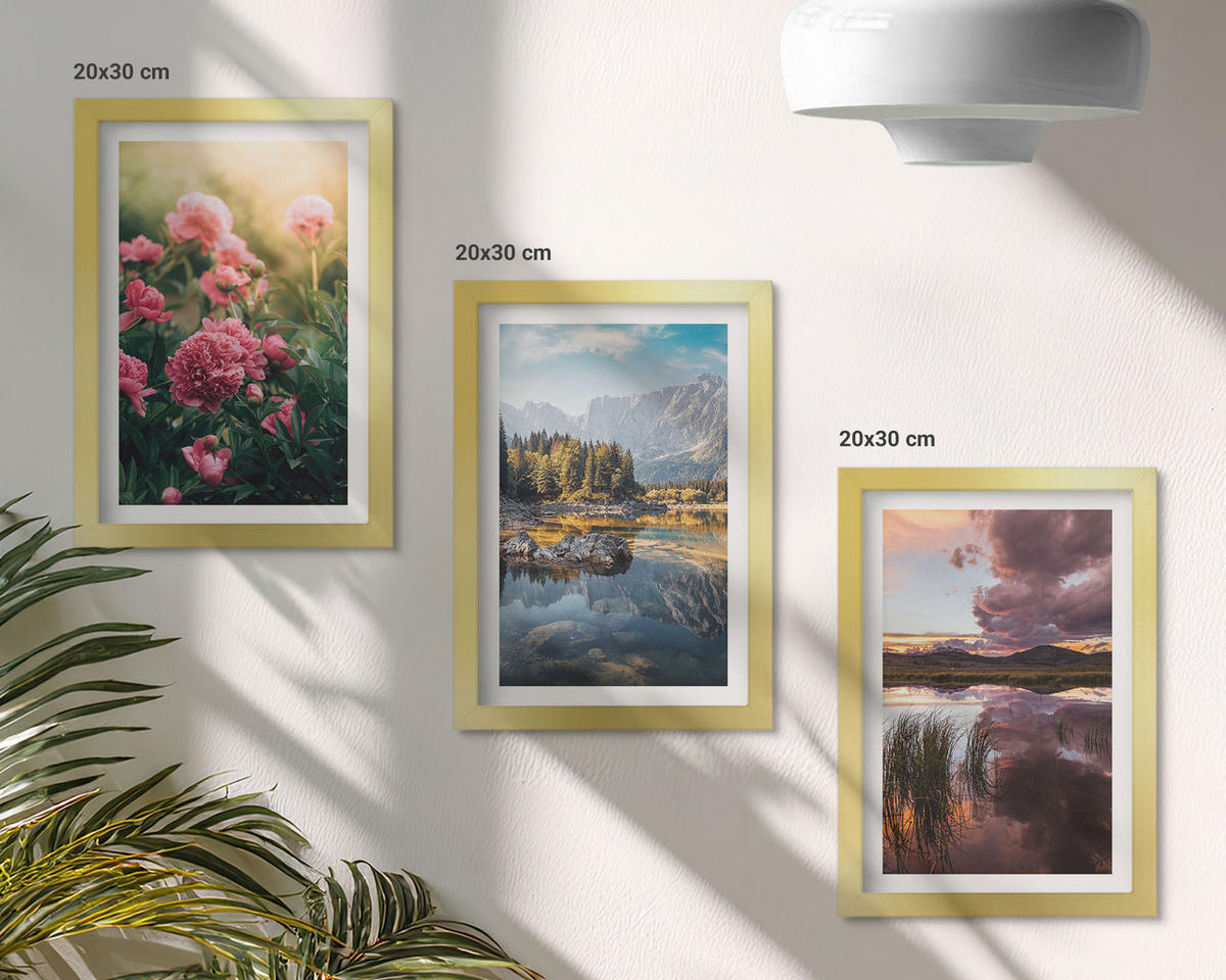 BILDER SET 3er Set - 20x30 cm Goldrahmen - Blumengarten Berge Wasser - Goldfarben, Kunststoff (20/30cm) - TULUP