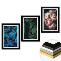 WANDBILDER 3er-Set - 20x30 cm Schwarzer Rahmen - Blätter, Blüten, verschiedene Farben - Schwarz, Kunststoff (20/30cm) - ArtPrintCave