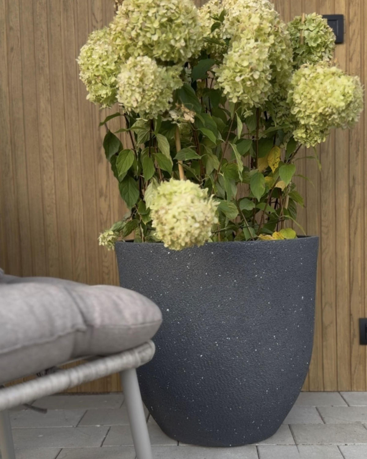 GHIVECI gri grafit rotund 55/55/53 cm Kannia - gri, materiale naturale (53cm) - Beliani