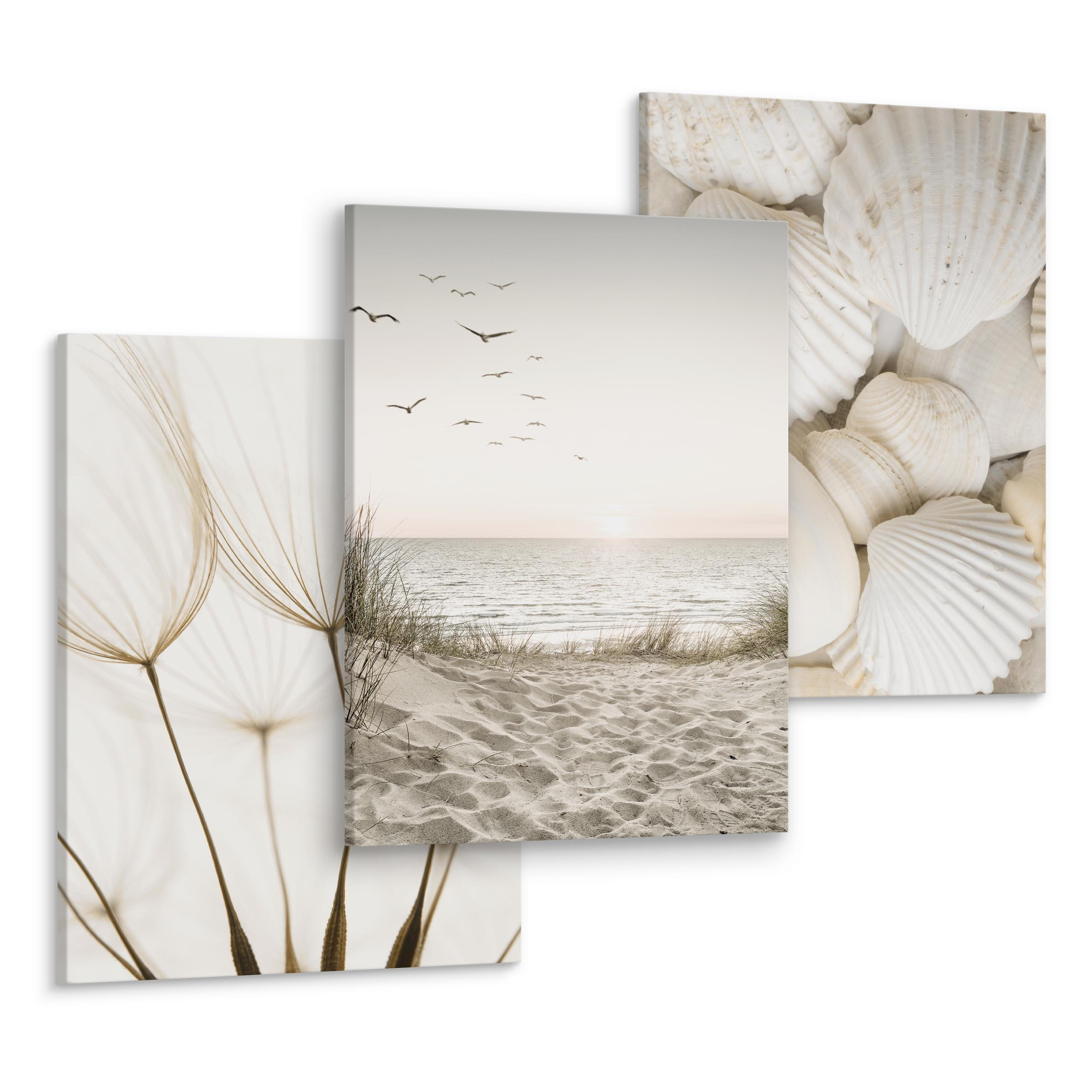 LEINWANDBILDER 3-er Set Strand Muscheln - Beige/Braun, Textil (90/40cm) - Muralo
