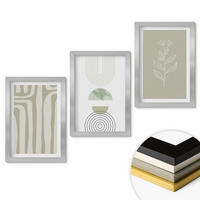 WANDBILDER 3er Set - 20x30 cm Silberner Rahmen - Geometrische Pflanzenmuster - Silberfarben, Kunststoff (20/30cm) - ArtPrintCave