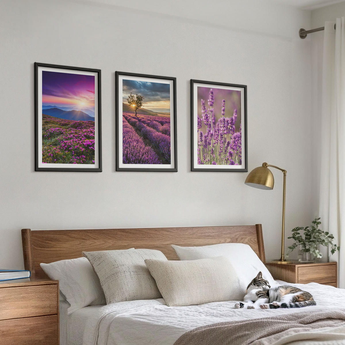 BILDER SET 3er Set - 40x60 cm Schwarzer Rahmen - Sonnenuntergang auf Lavendelfeldern - Schwarz, Kunststoff (40/60cm) - TULUP