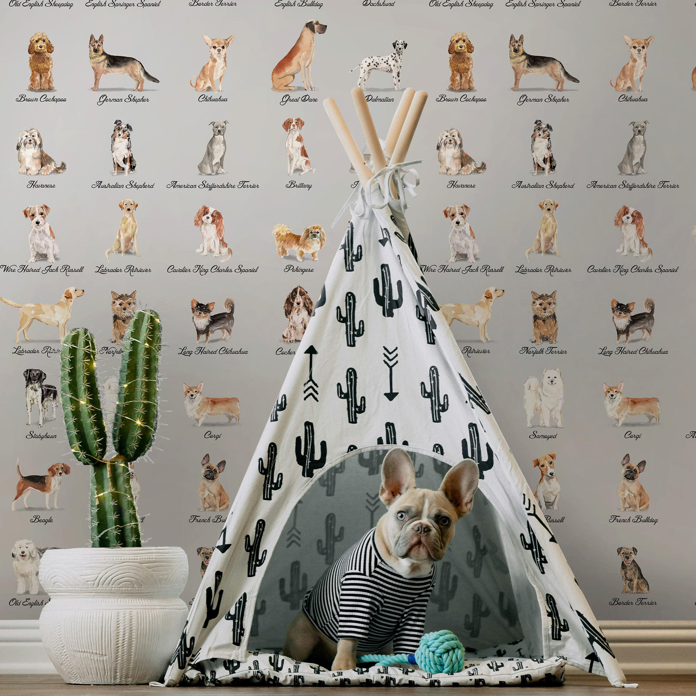 TAPETE Hunde aus echtem Papier, 200x280cm, 8 Bögen - Grau, Papier (200/280cm) - WALLPAPERS4BEGINNERS