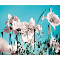 FOTOTAPETE Blumen 375 x 270 cm - Pink, Papier (375/270cm) - Sanders & Sanders