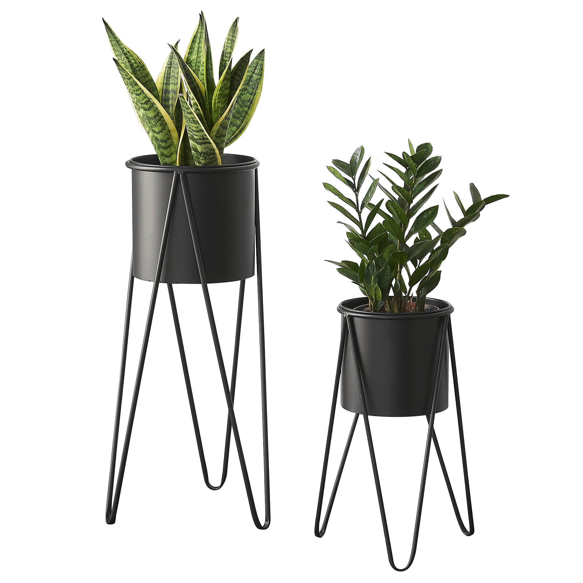 PFLANZSTÄNDER-SET 2 TLG. Hedera - Schwarz, Metall (32/70.5/32cm) - [en.casa]
