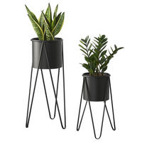 PFLANZSTÄNDER-SET 2 TLG. Hedera - Schwarz, Metall (32/70.5/32cm) - [en.casa]