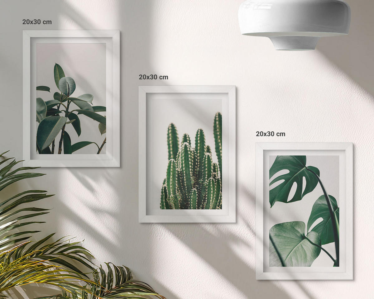 WANDBILDER 3er-Set - 20x30 cm Weißer Rahmen - Tropische ästhetische Pflanzen - Weiß, Kunststoff (20/30cm) - ArtPrintCave