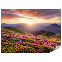 FOTOTAPETE für Wohnzimmer Sonnenuntergang Berge Wiese Blumen 450x315 - Violett/Rosa, Papier (450/315cm) - Muralo