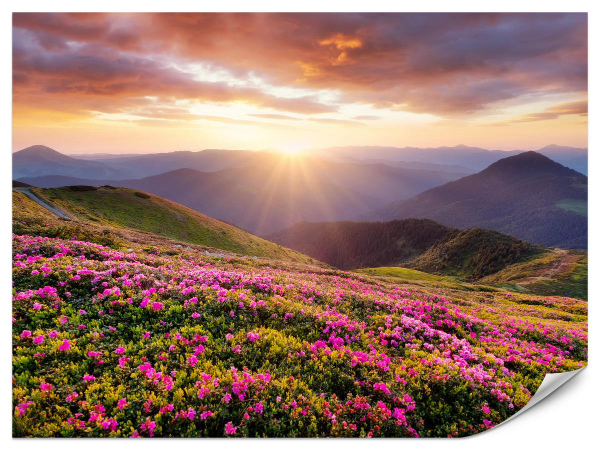 FOTOTAPETE für Wohnzimmer Sonnenuntergang Berge Wiese Blumen 450x315 - Violett/Rosa, Papier (450/315cm) - Muralo