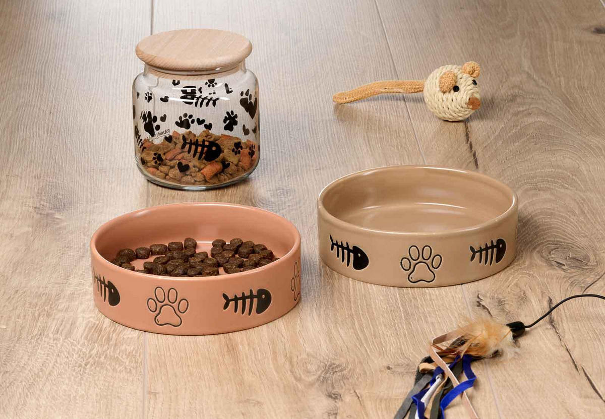 LECKERLI-DOSEN MIT DECKEL Mika Cat transparent ø 10 cm 6er Set - Transparent, Glas (10/11/10cm) - Ritzenhoff Breker