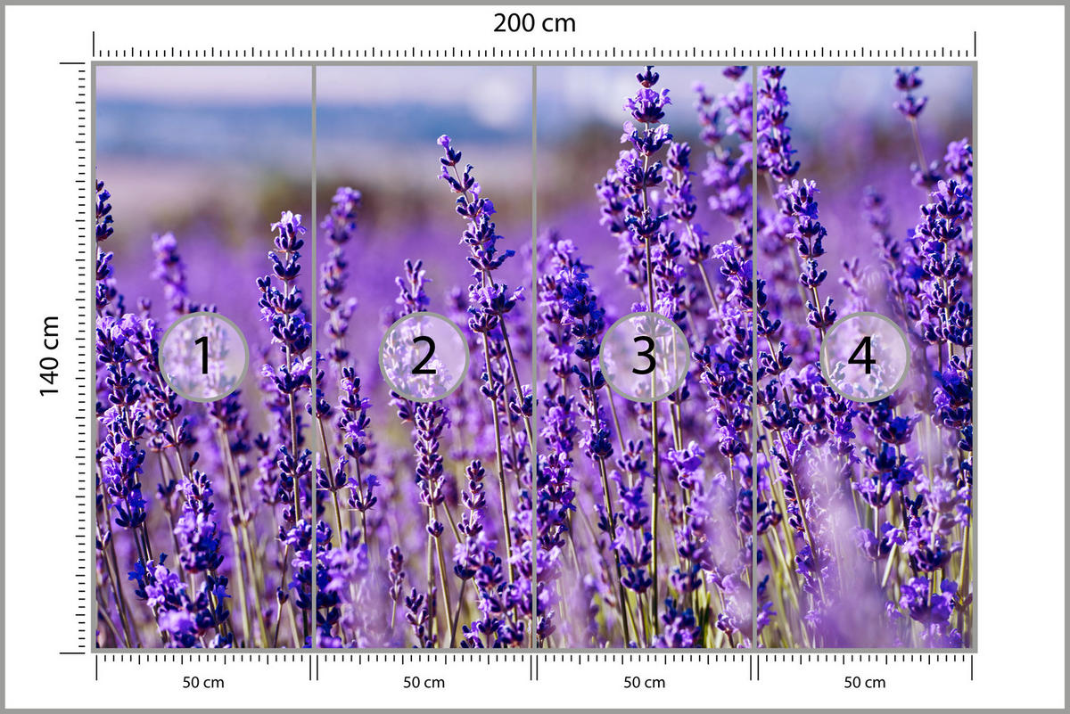 FOTOTAPETE für Schlafzimmer Lavendelfeld Blüten Provence 200x140 - Violett, Papier (200/140cm) - Muralo