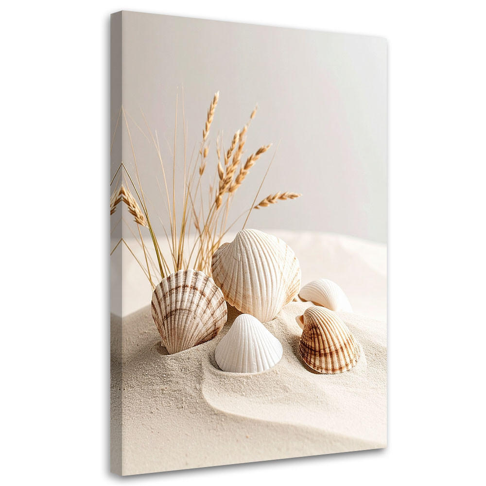 LEINWANDBILD Muscheln Pflanzen Natur Boho 40x60cm - Beige, Textil (40/60cm) - Feeby