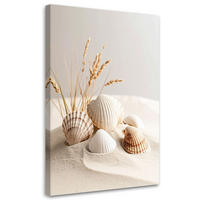 LEINWANDBILD Muscheln Pflanzen Natur Boho 60x90cm - Beige, Textil (60/90cm) - Feeby