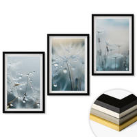 WANDBILDER 3er-Set - 40x60 cm Schwarzer Rahmen - Tautropfen auf Löwenzahn - Schwarz, Kunststoff (40/60cm) - ArtPrintCave