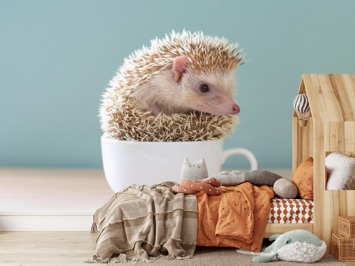 FOTOTAPETE für Esszimmer Igel Weiße Tasse Süß Tier 250x175 - Beige/Weiß, Papier (250/175cm) - Muralo