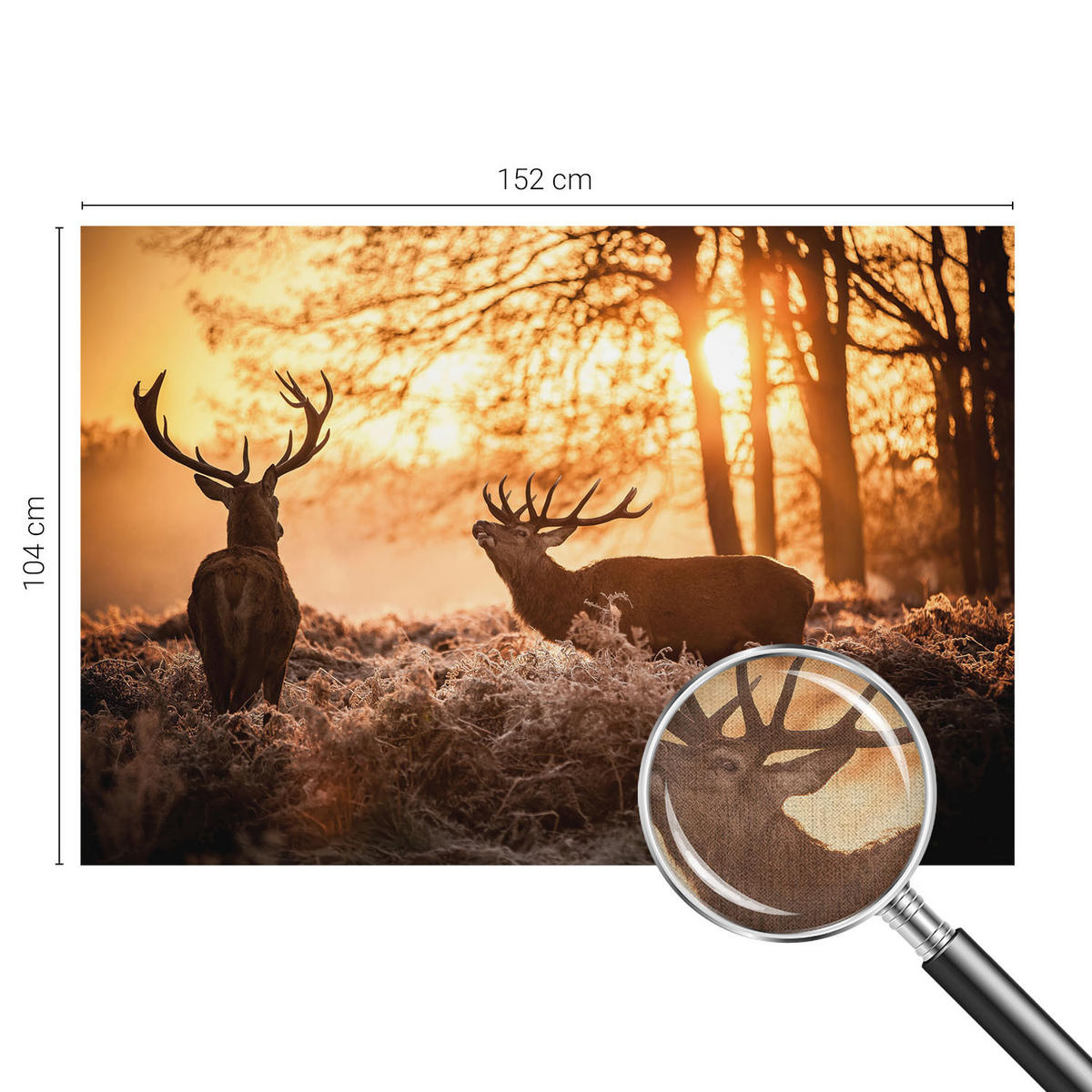 FOTOTAPETE 152x104 cm - Rehe am Morgen - Schwarz, Textil (152/104cm) - Wallfluent