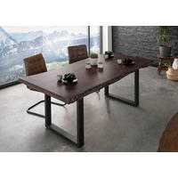 BAUMTISCH Akazie 220x100x77 braun lackiert / U-Beine anthrazit matt FREEFORM 5 - Anthrazit/Braun, Holz (220/100/77cm) - Massivmoebel24