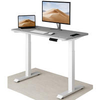 SCHREIBTISCH Elektrisch Höhenverstellbarer HomeOne 120x60cm Weiß/Grau mit Memory-Funktion, Anti-Kollisions Technologie - Weiß/Grau, Holzwerkstoff (60/120/72cm) - Desktronic