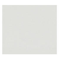 VLIESTAPETE Grau 53/1005 cm - Grau, Textil (53/1cm) - KUNSTLOFT