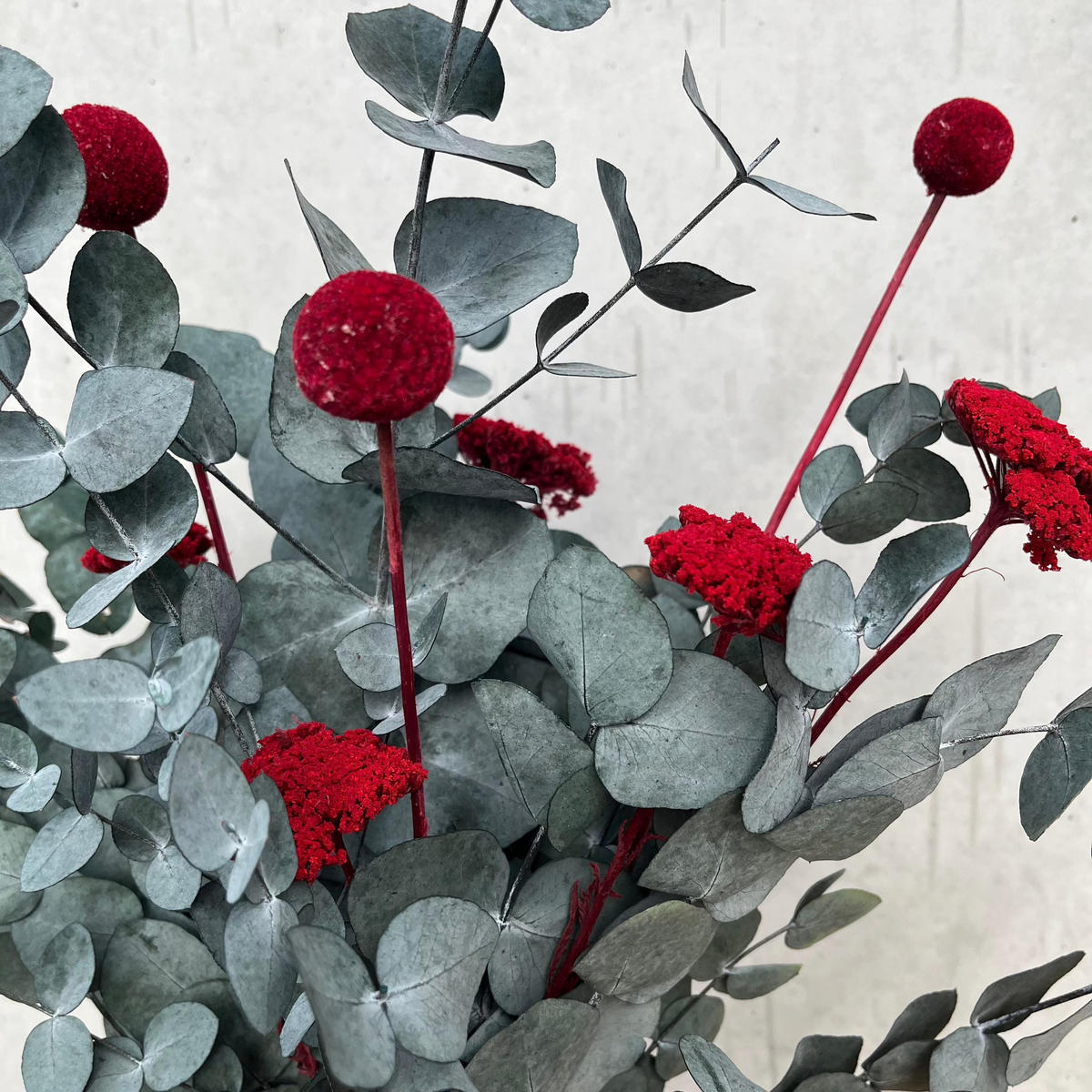 TROCKENBLUMEN Strauß Pop of Color: Eukalyptus red - Rot, Naturmaterialien (40cm) - Lykke & You