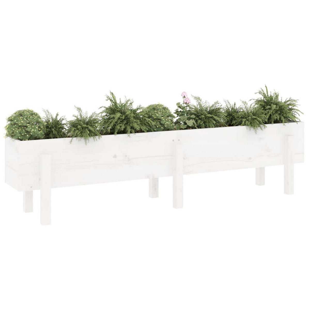 HOCHBEET Weiß 160x30x38 cm Massivholz Kiefer - Weiß, Holz (30/38/160cm) - furnicato