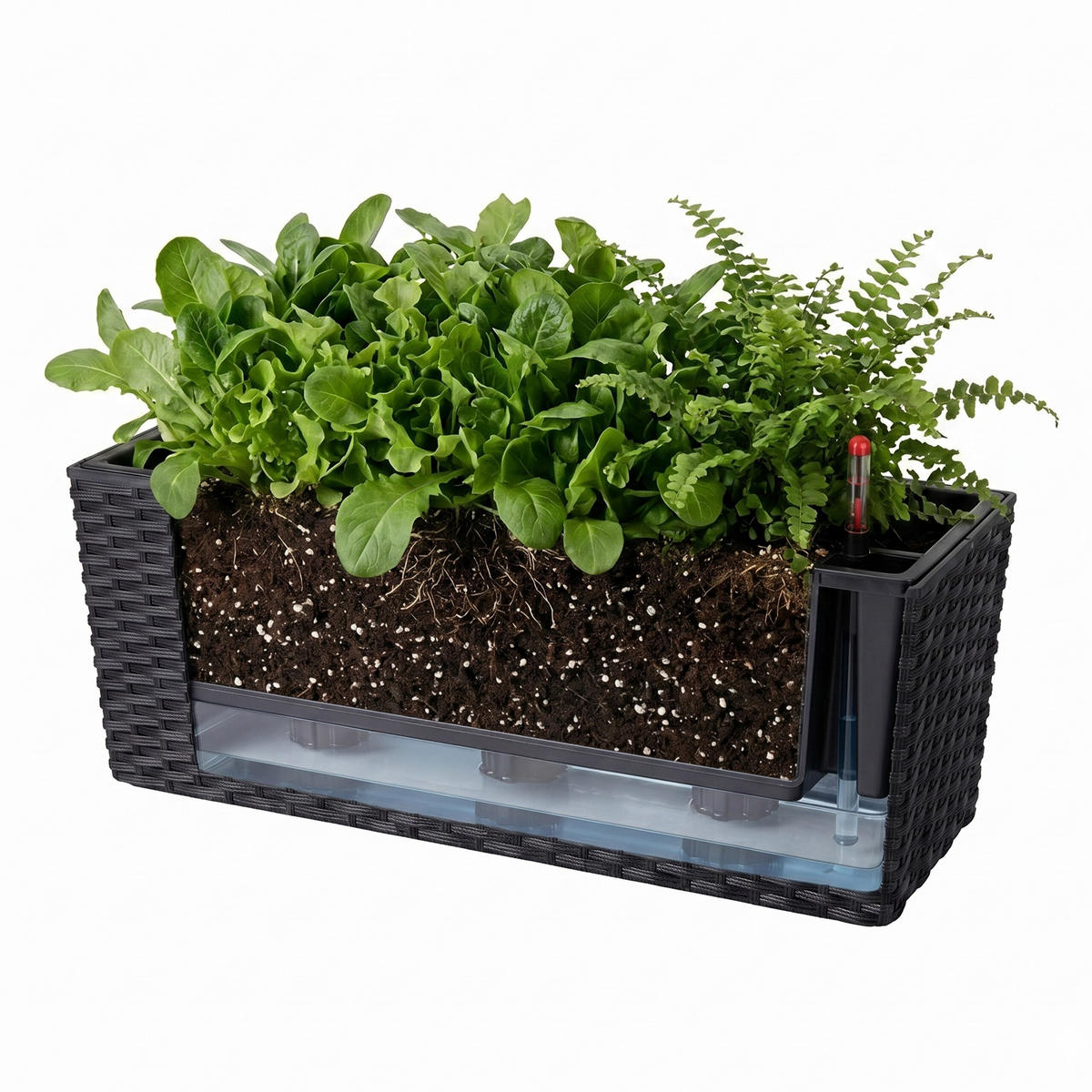 JARDINIERĂ Neagră autoirigare 50 cm - negru, material plastic/metal (50/19/19cm) - Relaxdays