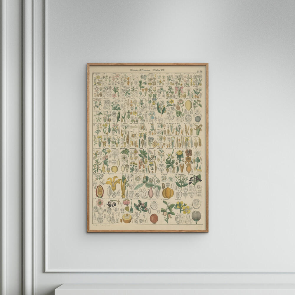POSTER Wild Apple - Flora Chart I - Grün, Papier (30/40/0.1cm) - Poster&Frame