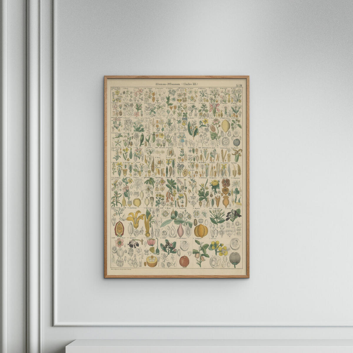 POSTER Wild Apple - Flora Chart I - Grün, Papier (30/40/0.1cm) - Poster&Frame