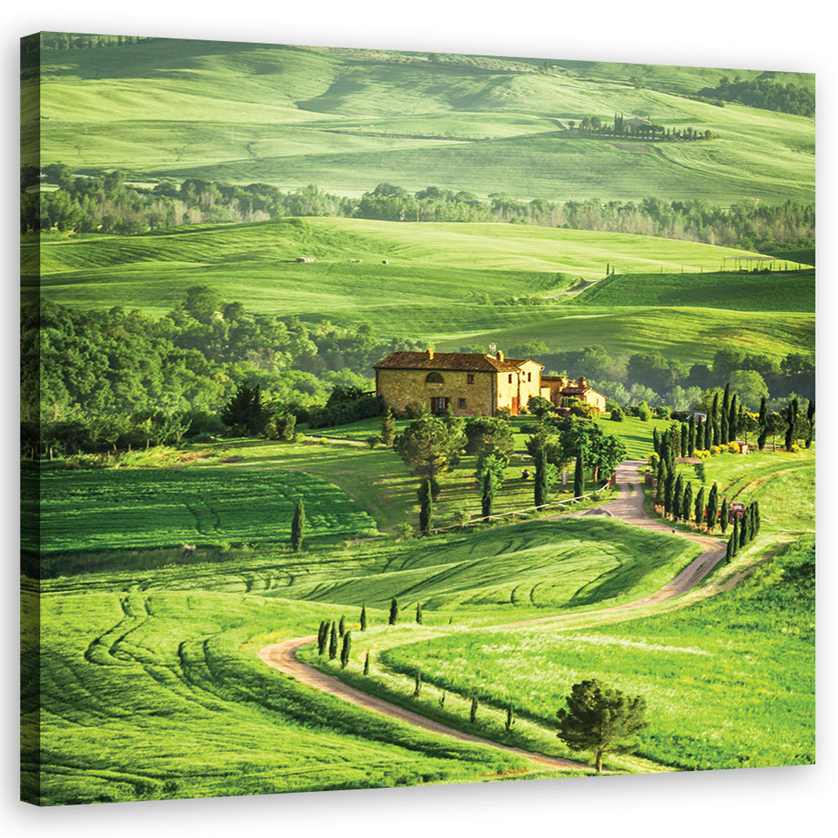 WANDBILD landschaften grün - Grün, Textil (50/50cm) - Feeby