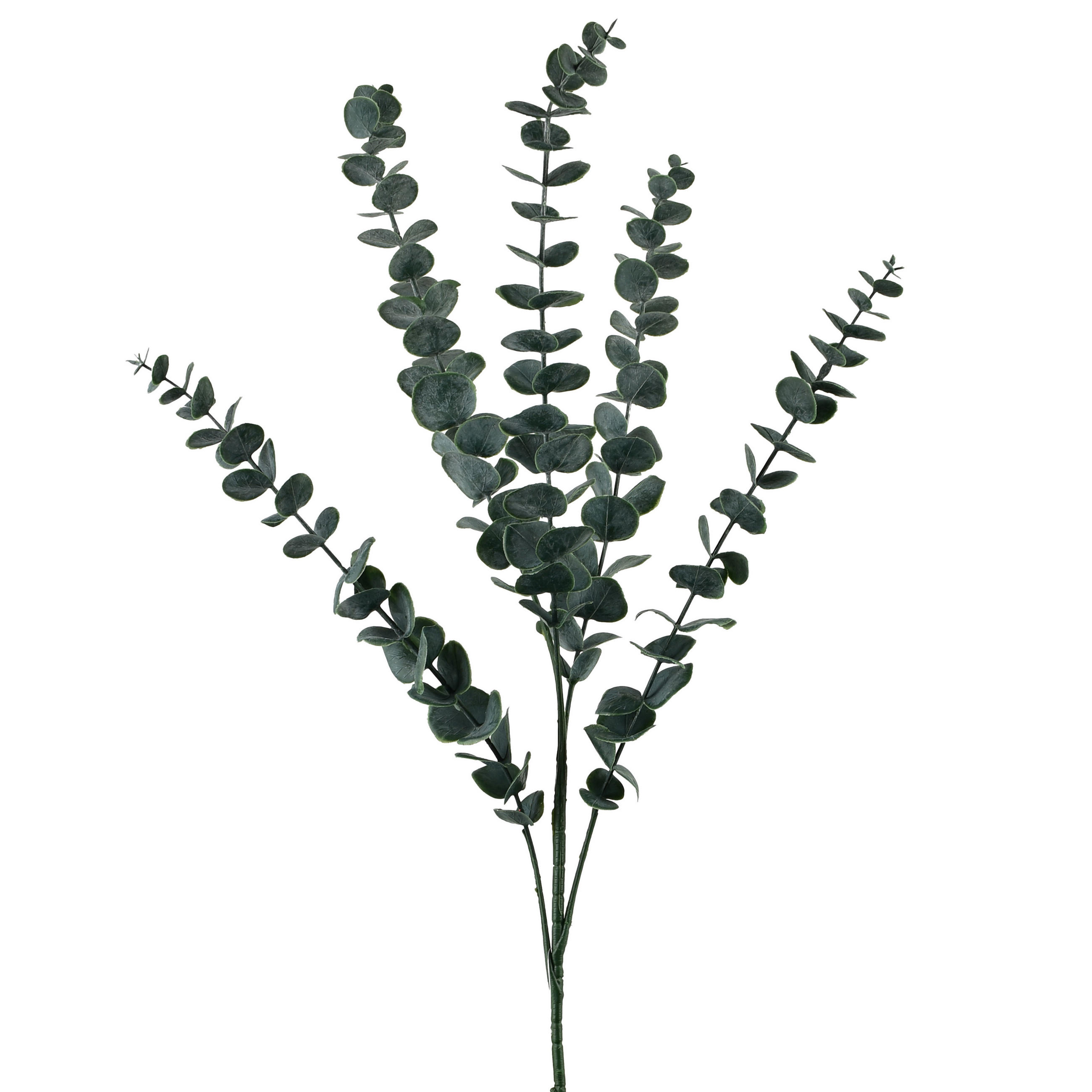 UMELÝ EUKALYPTUS Viridis 80 cm Zelená - zelená, plast (80cm) - Mondex