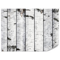 FOTOTAPETE für Schlafzimmer Birkenrinden Imitation Weiß Baum 300x210 - Schwarz/Weiß, Papier (300/210cm) - Muralo