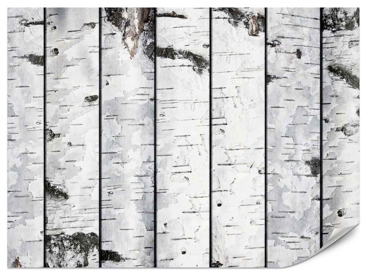 FOTOTAPETE für Schlafzimmer Birkenrinden Imitation Weiß Baum 300x210 - Schwarz/Weiß, Papier (300/210cm) - Muralo