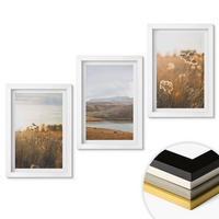 WANDBILDER 3er-Set - 20x30 cm Weißer Rahmen - Landschaften Wiesen Berge See - Weiß, Kunststoff (20/30cm) - ArtPrintCave