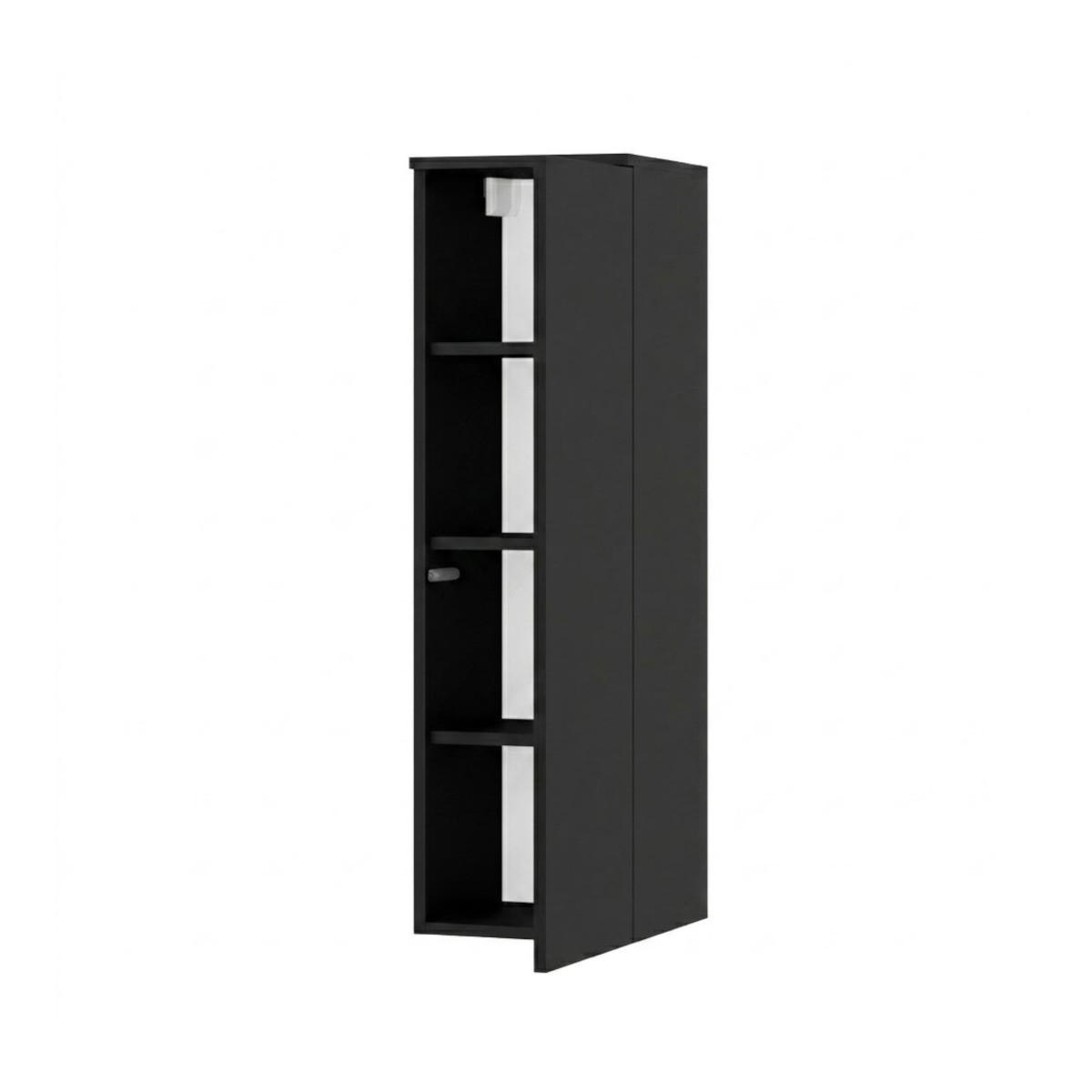 HOCHCHRANK Color 1D 100 Schwarz - Schwarz, Holzwerkstoff (30/100/30cm) - mzm24