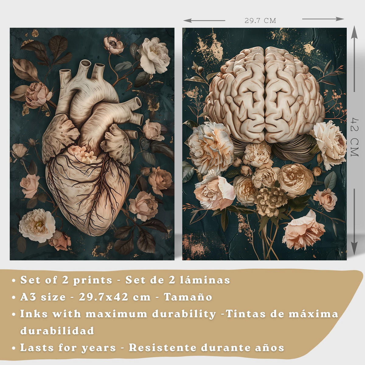 POSTER Set aus 2 Anatomie Mensch Drucke und Wandbilder mit Herz und Gehirn Elegante Florale Illustration Grüner Hintergrund Größe Weißer Rahmen A3 - Weiß, Papier (29.7/42/3cm) - Nacnic