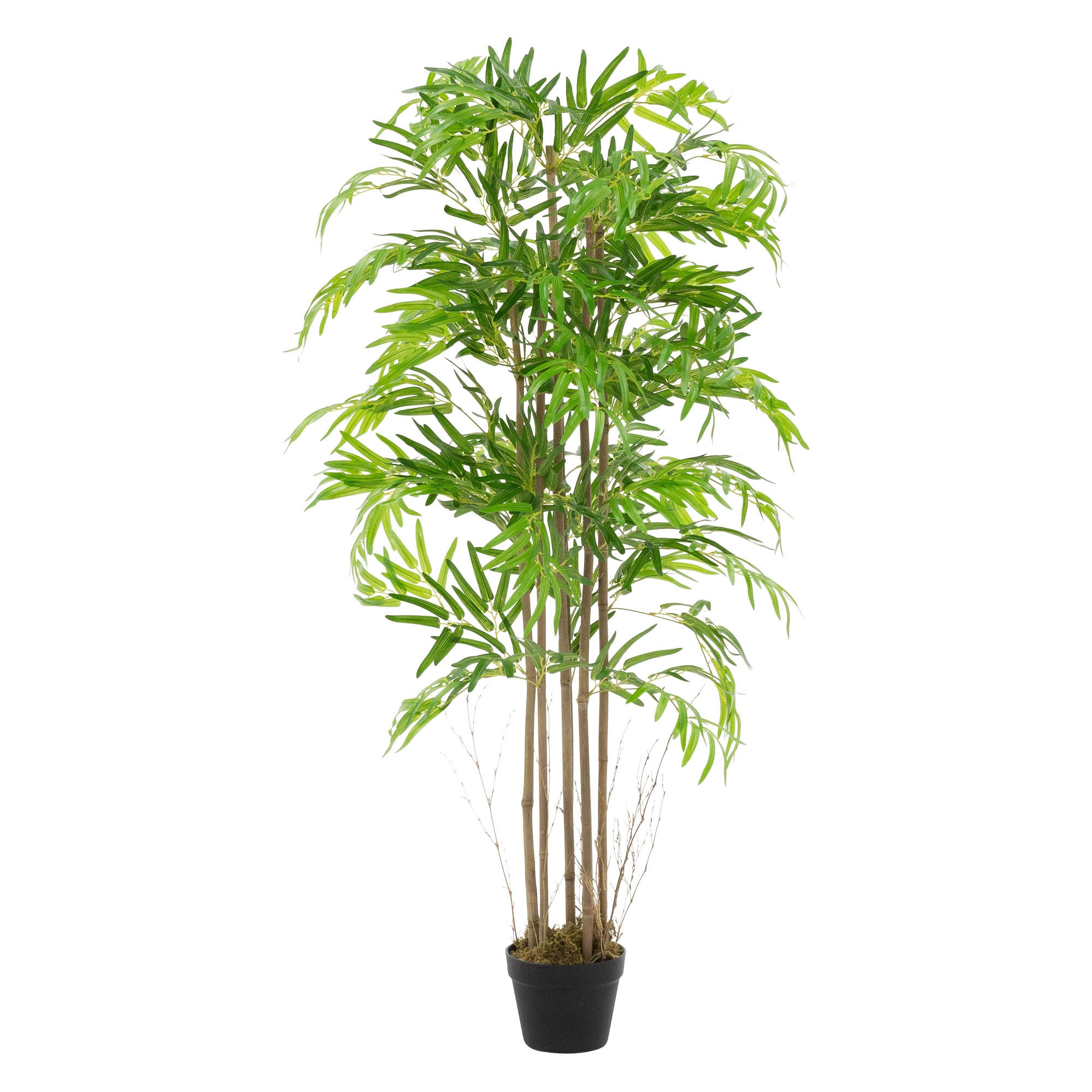 KUNSTPFLANZE Bambus - Anthrazit/Grün, Holz/Kunststoff (150cm) - ML-DESIGN