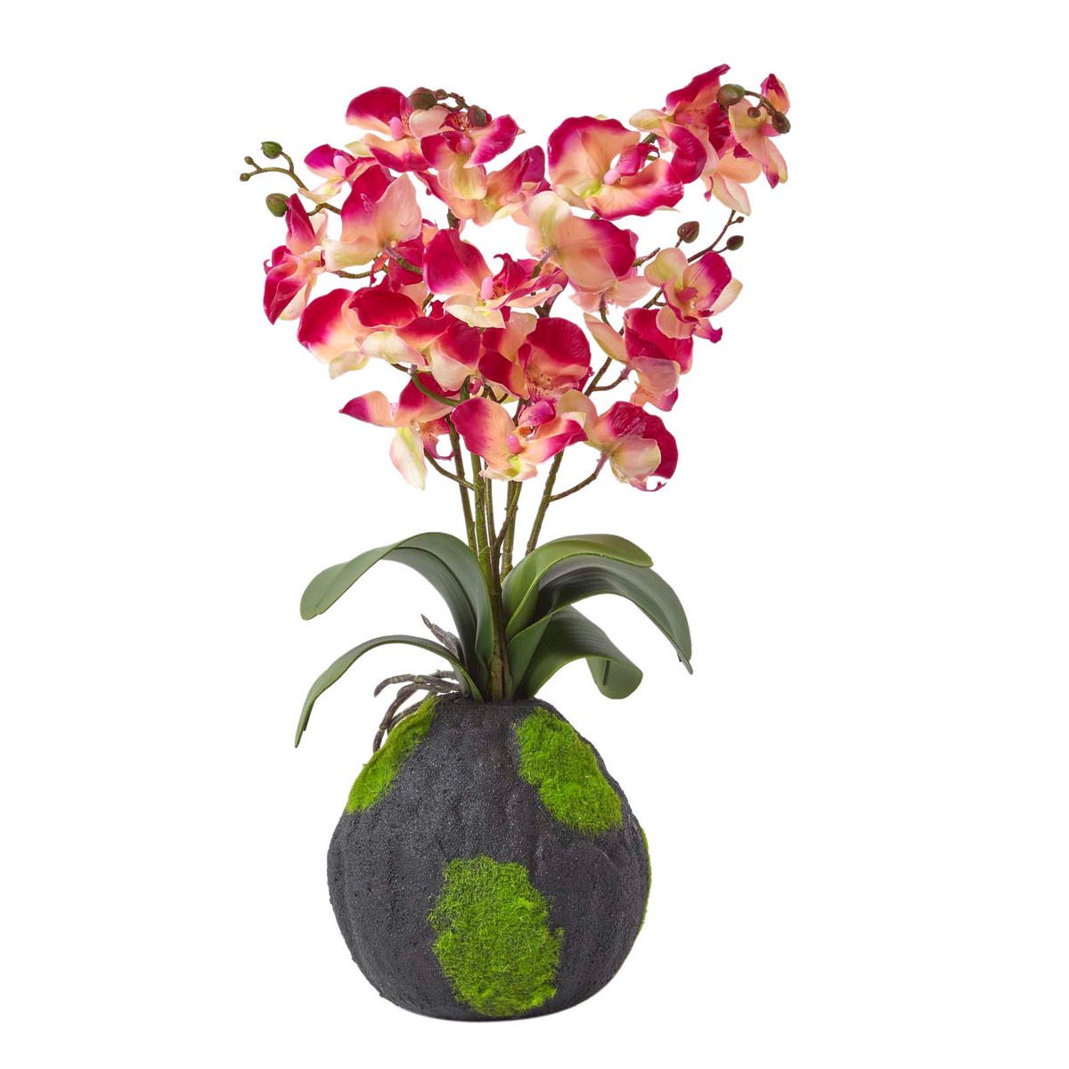KUNSTBLUME Orchidee pink-apricot mit Moos-Sockel, 60 cm - Pink, Kunststoff (60cm) - Homescapes
