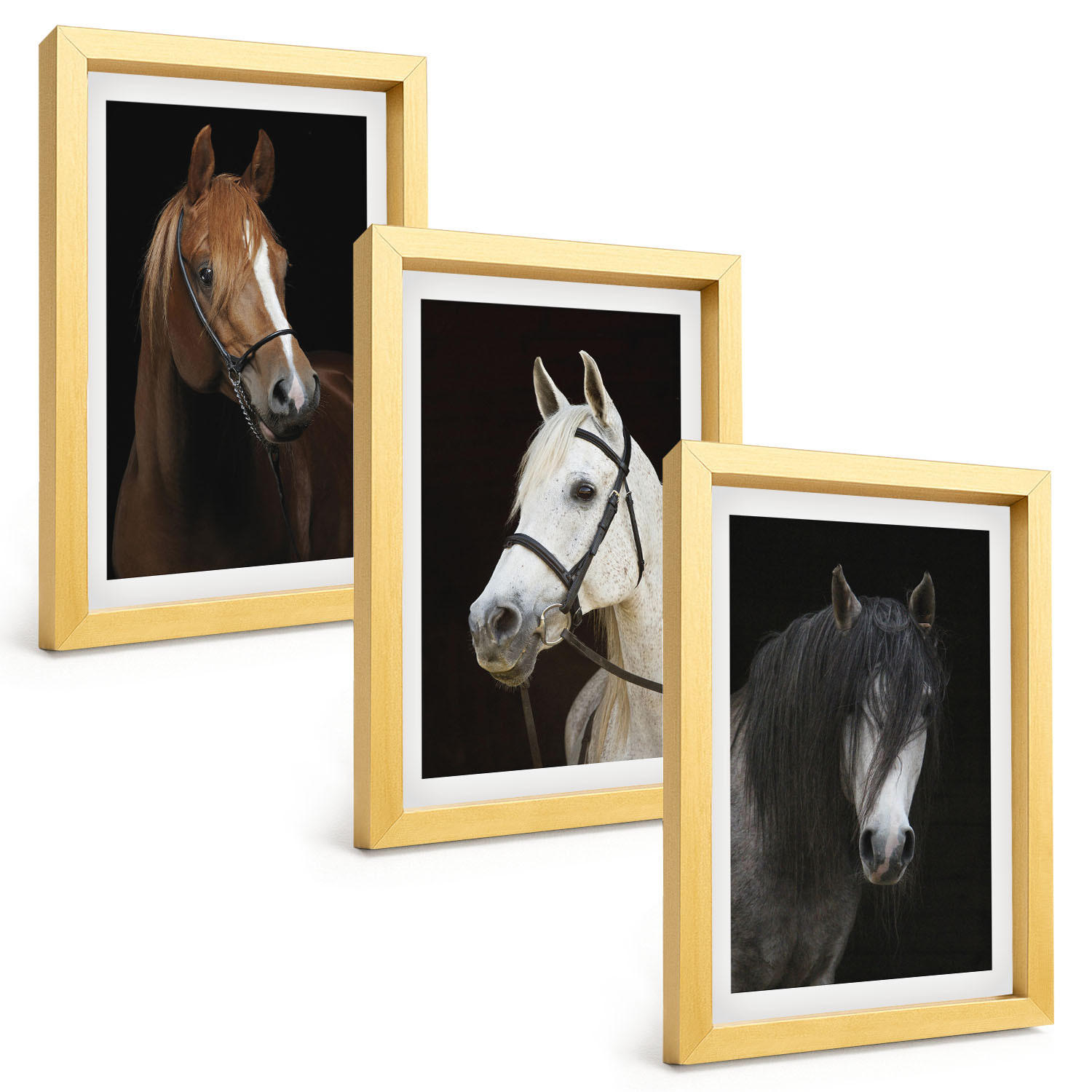 BILDER SET 3er Set - 20x30 cm Goldrahmen - Porträts von Pferden in verschiedenen Fellfarben - Goldfarben, Kunststoff (20/30cm) - TULUP
