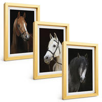 BILDER SET 3er Set - 20x30 cm Goldrahmen - Porträts von Pferden in verschiedenen Fellfarben - Goldfarben, Kunststoff (20/30cm) - TULUP