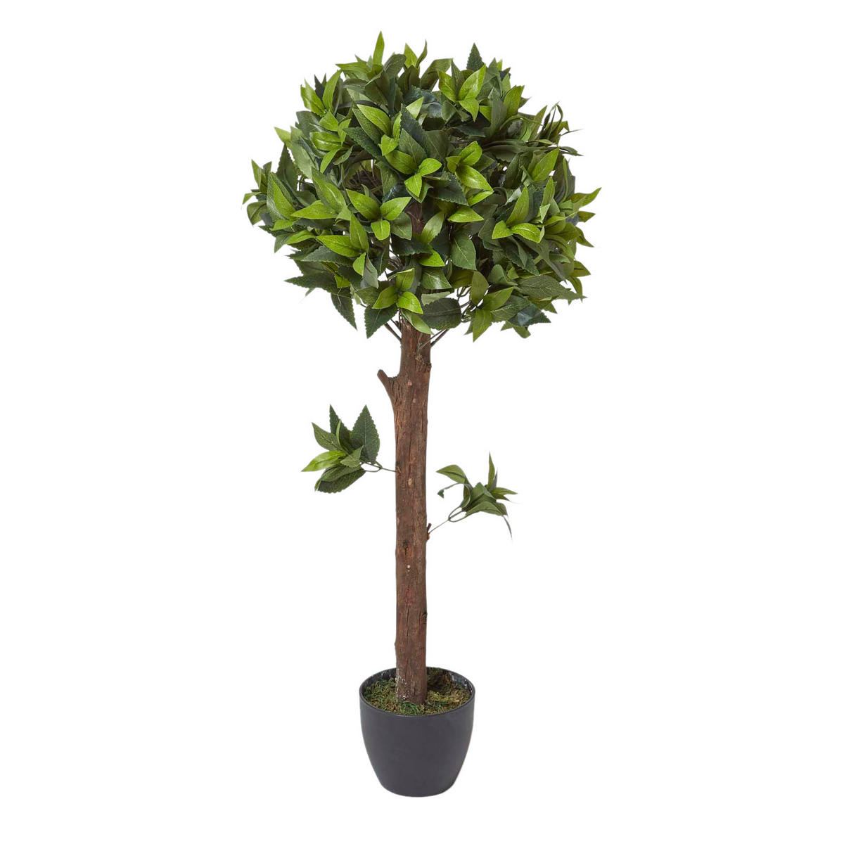 KUNSTBAUM Lorbeer formgeschnitten, 91 cm - Grün, Kunststoff (91cm) - Homescapes