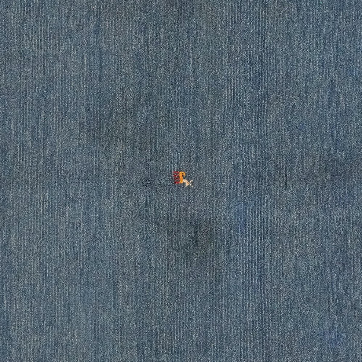 GABBEH-TEPPICH handgeknüpft Blau 208/153 cm Schurwolle - Blau, Textil (153/208cm) - Looma