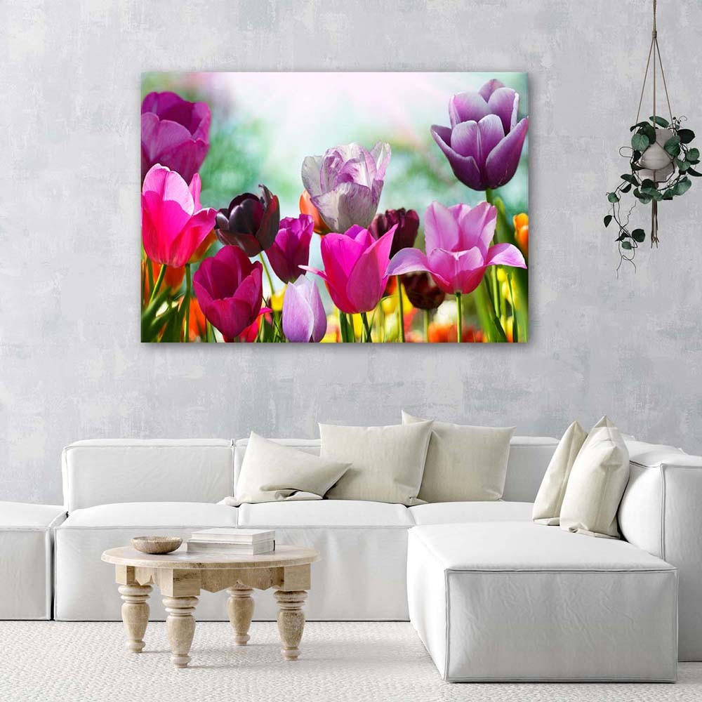 LEINWANDBILD Bunte Tulpen auf einer Wiese - Rosa, Textil (60/40cm) - Feeby
