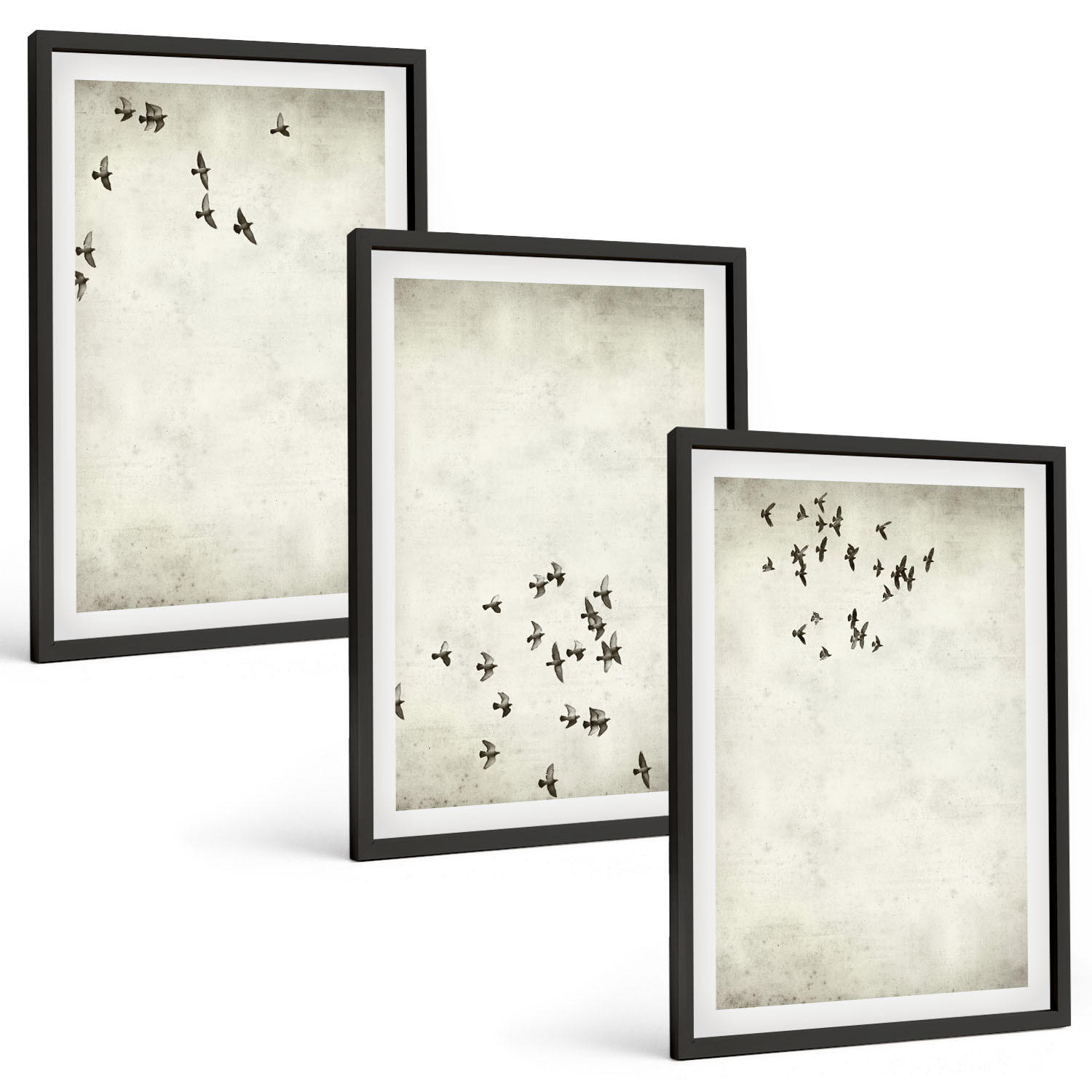 BILDER SET 3er Set - 40x60 cm Schwarzer Rahmen - Minimalistische Vogelmalerei - Schwarz, Kunststoff (40/60cm) - TULUP