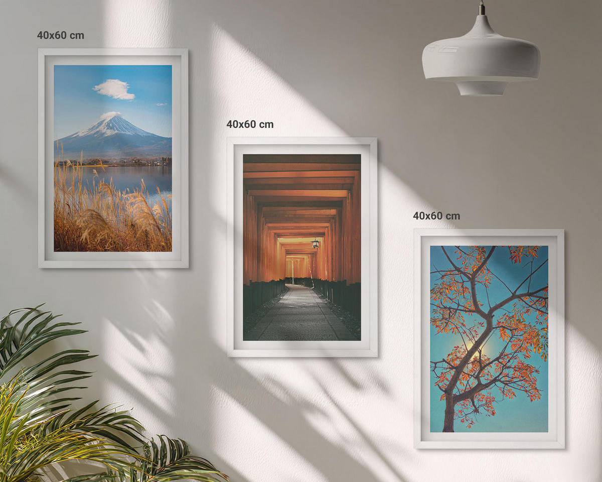 BILDER SET 3er Set - 40x60 cm Weißer Rahmen - Japanische Naturlandschaften - Weiß, Kunststoff (40/60cm) - TULUP