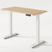 SCHREIBTISCH Elektrisch Höhenverstellbarer HomeOne 120x60cm Weiß/Bambus mit Memory-Funktion, Anti-Kollisions Technologie - Hellgelb/Weiß, Holz (60/120/72cm) - Desktronic