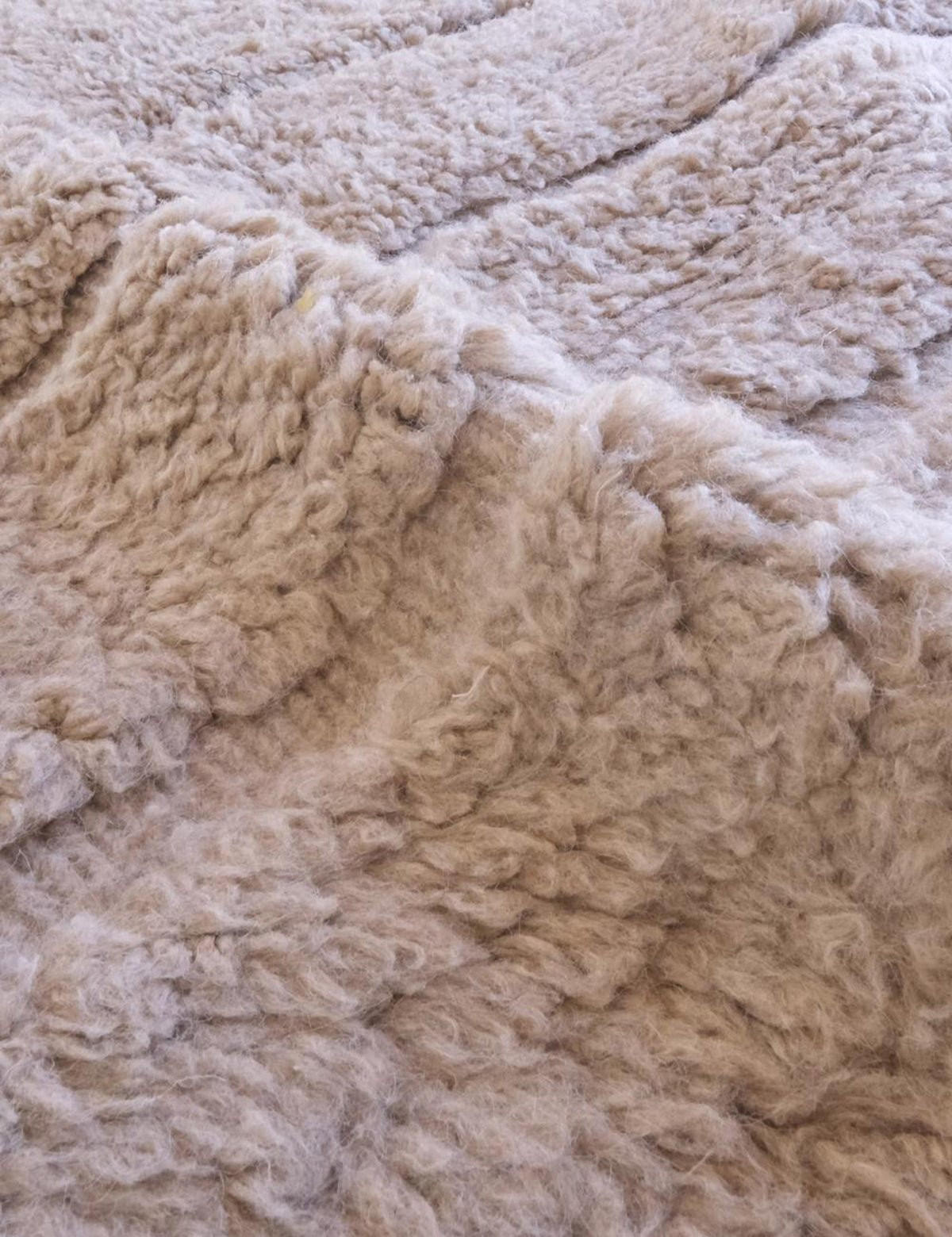 BERBERTEPPICH Design Struktur 242x 342 cm - Braun, Naturmaterialien (242/342cm) - AFK Living