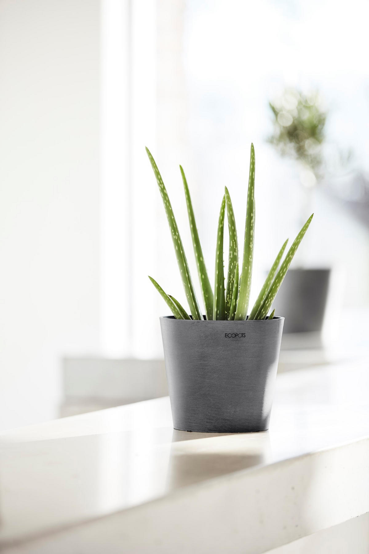 BLUMENTOPF Amsterdam 17/14,7 cm Grau - Grau, Kunststoff (17/14.7cm) - Ecopots