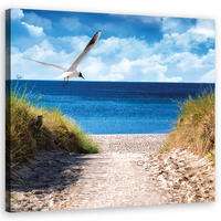 LEINWANDBILD Weg zum Strand und Möwe - Blau, Textil (50/50cm) - Feeby